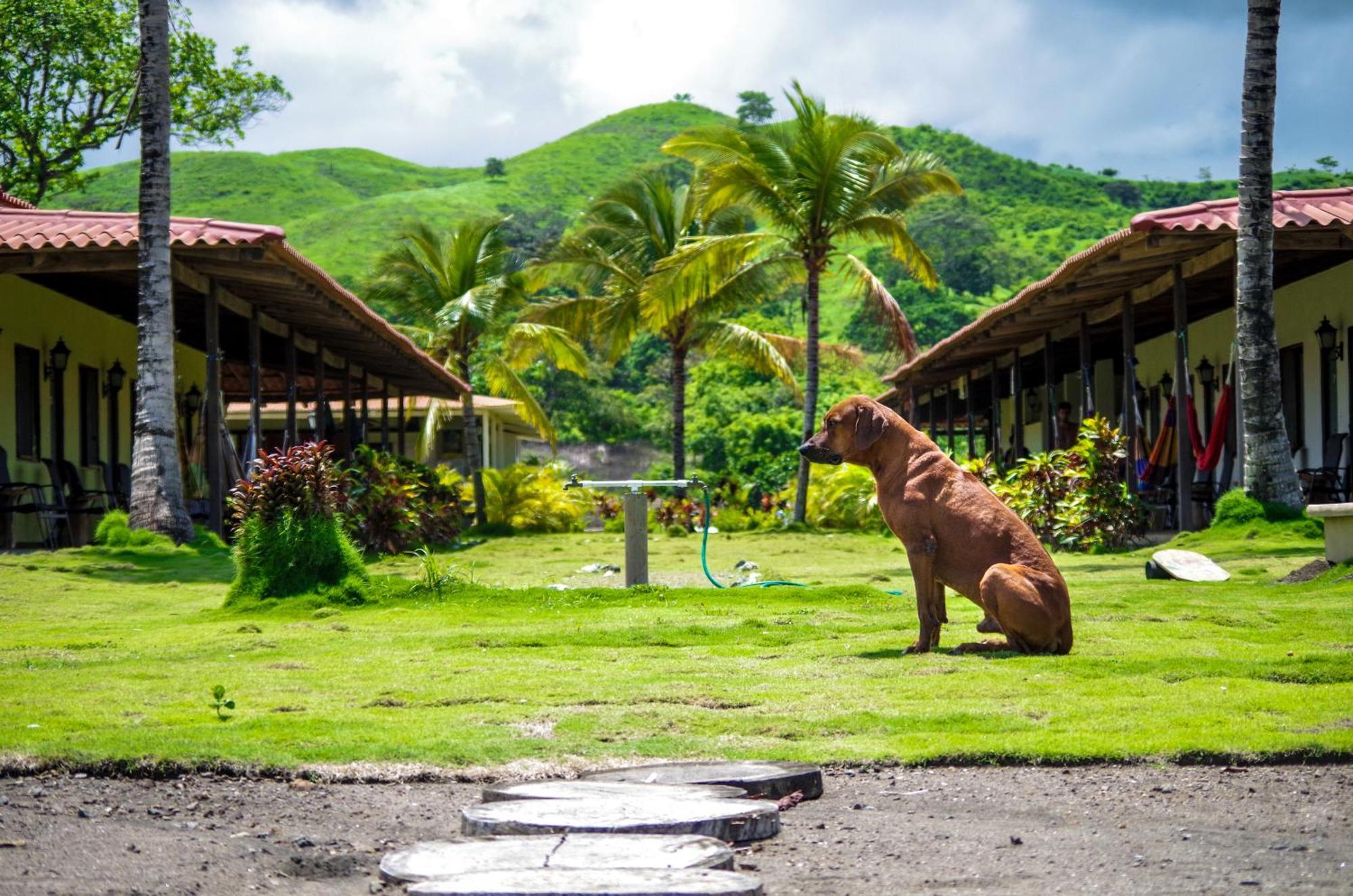 Beach Break Hotel&Surf Camp de Playa Venao Exterior foto